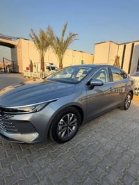 بيوايدي دسترويل • ٢٠٢٥ • الكرخ