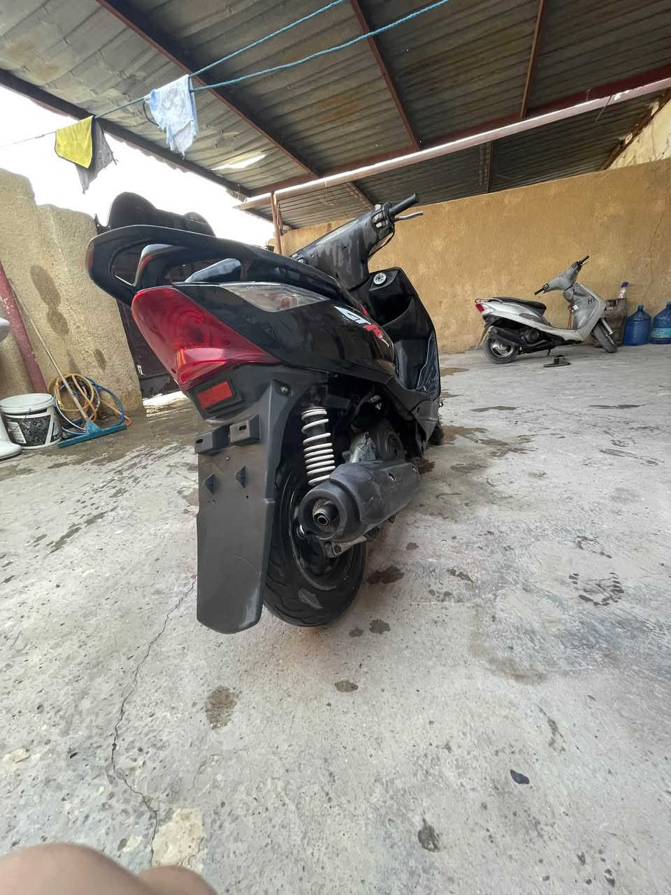 ثعلب • GTR • أصليه