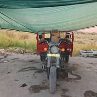 ستوته • موديل ١٧ • بدون اوراق