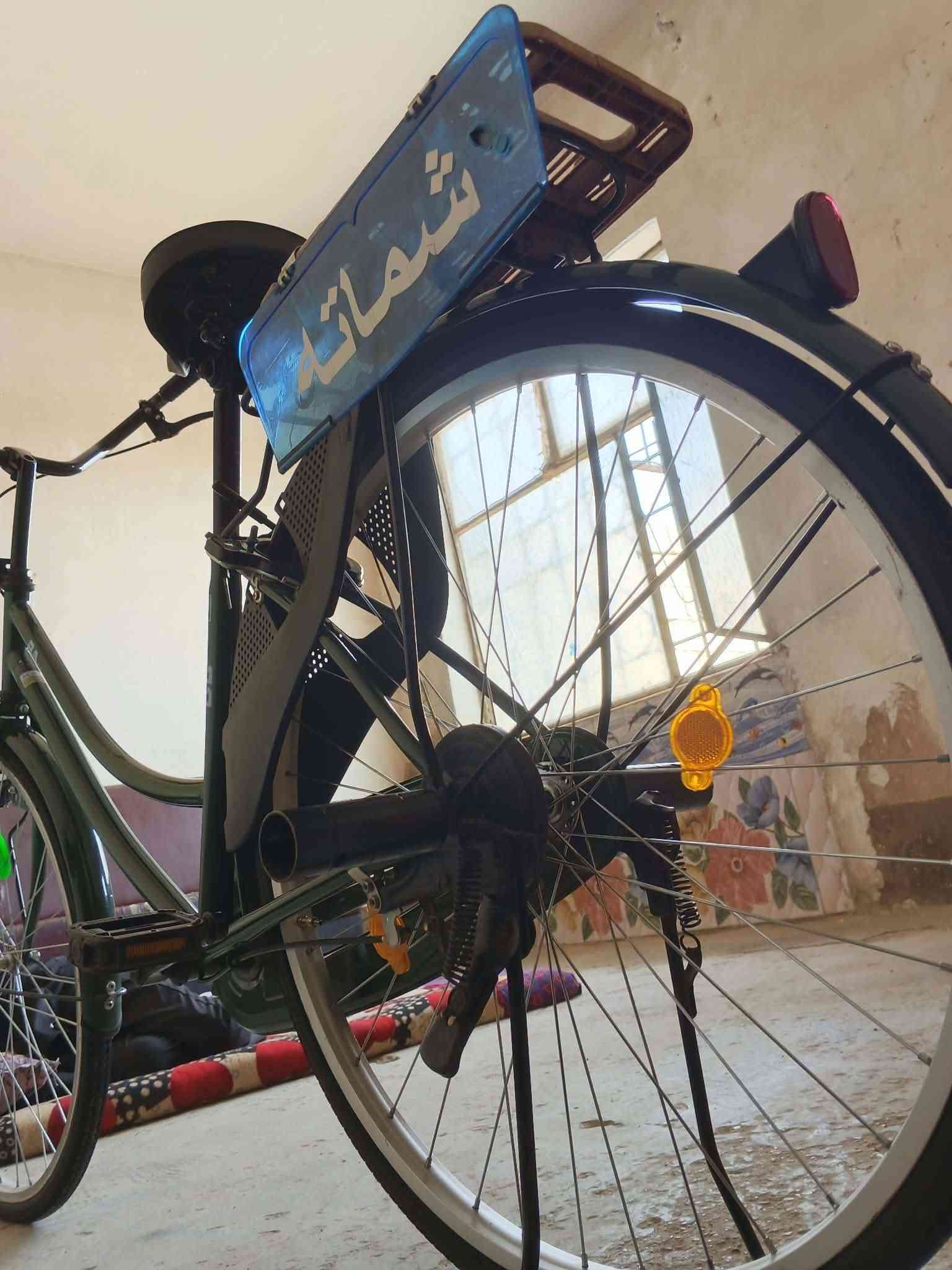 باسكل • مقاس ٢٦ • موديل ٢٠٢٢