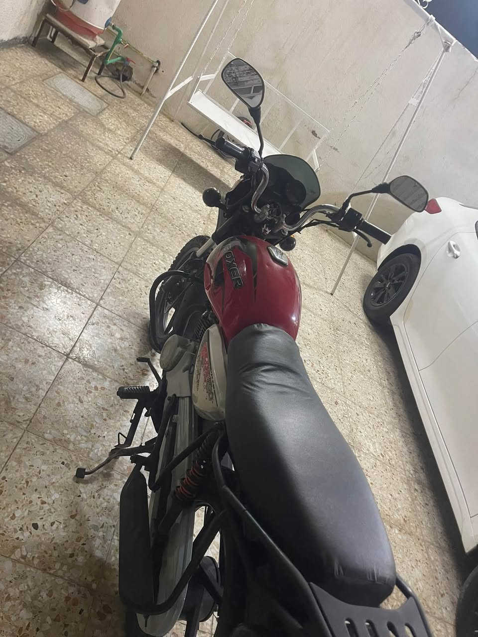 بوكسر موديل ٢٢ بدون أوراق اتكفلها سرقه حلال حرام بوكسر نضيف الله وكتبه ورسله كلها شغاله وجديده الدراجه نضيفه لمعنه الكلمه مكينه خرسه تجيفت شركه جديد لايت زنون أبو ال٧٥ 
الشعب نهايت الفورتات
الاستفسار ***********
السعر ٩٥٠ بيها مجال
