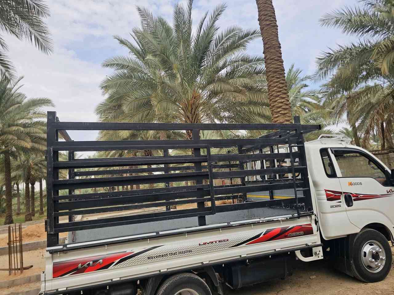 محجر فحل