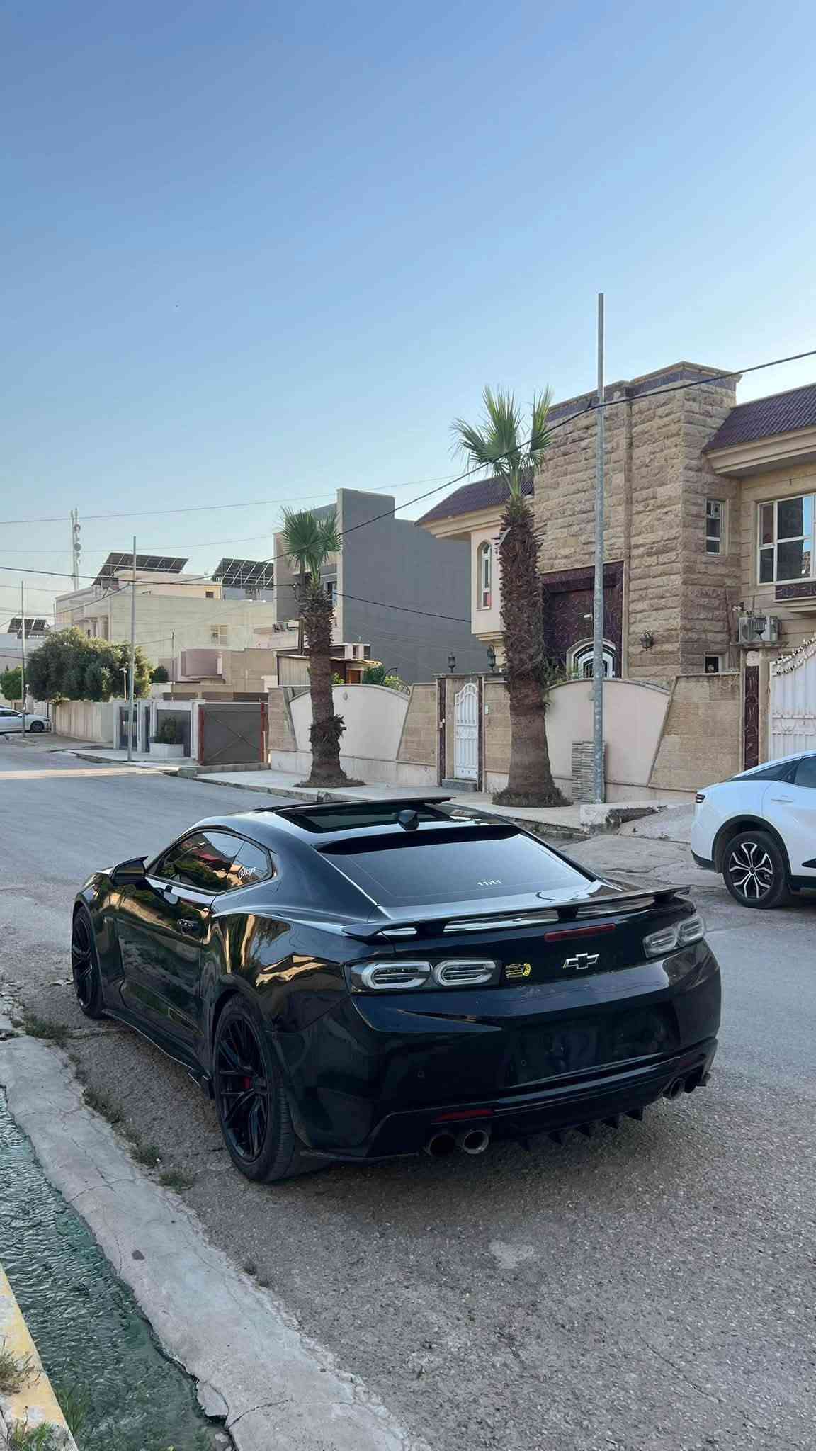 كمارو 2SS • ٢٠١٧ • بوند صبغ