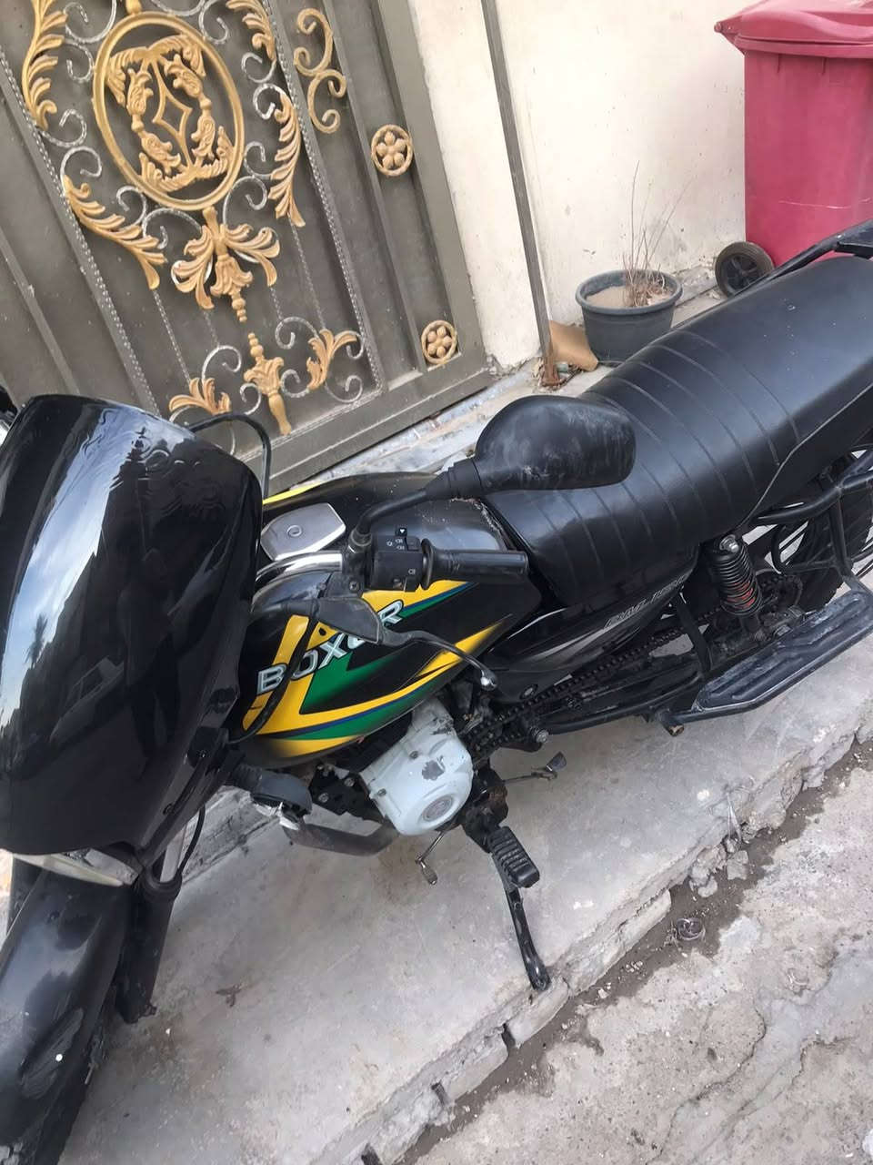 بوكسر • بدون أوراق • زنجايل شركه