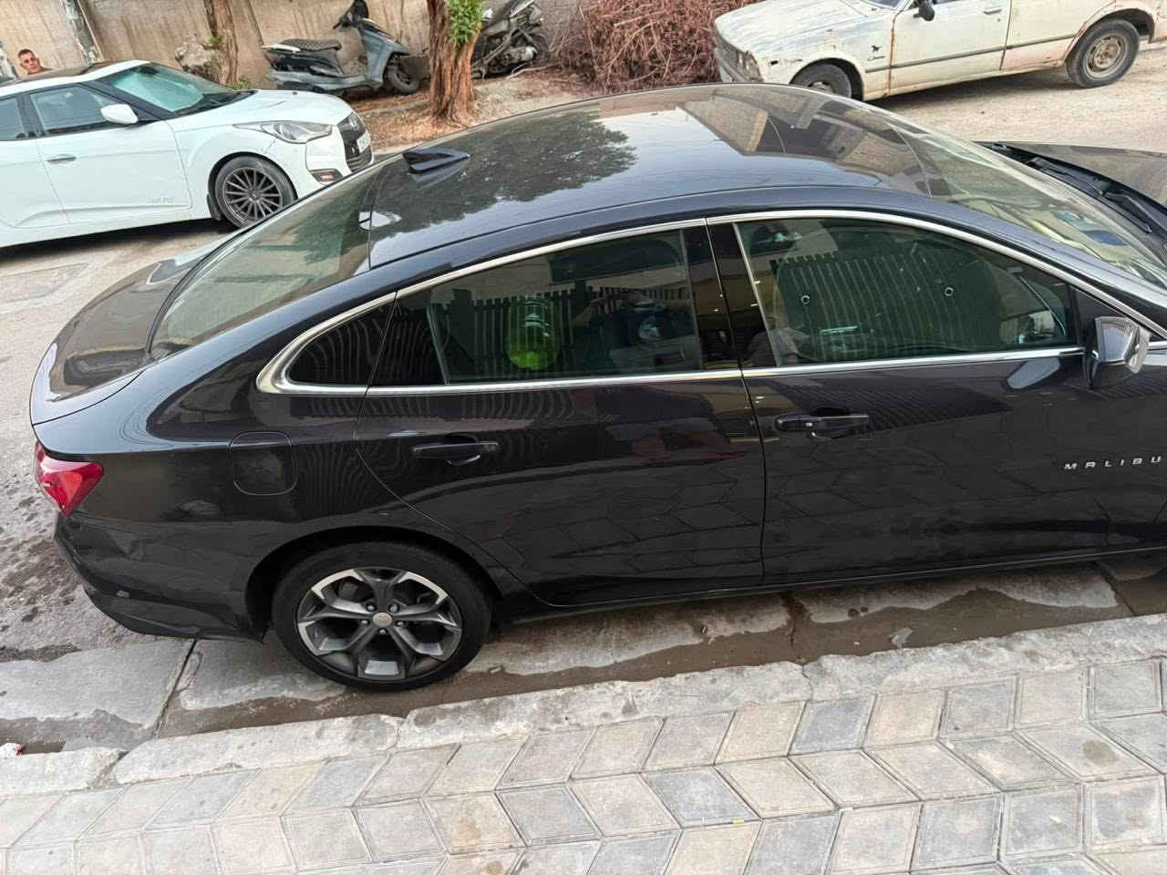 ماليبو • ٢٠٢٢ • رقم اربيل