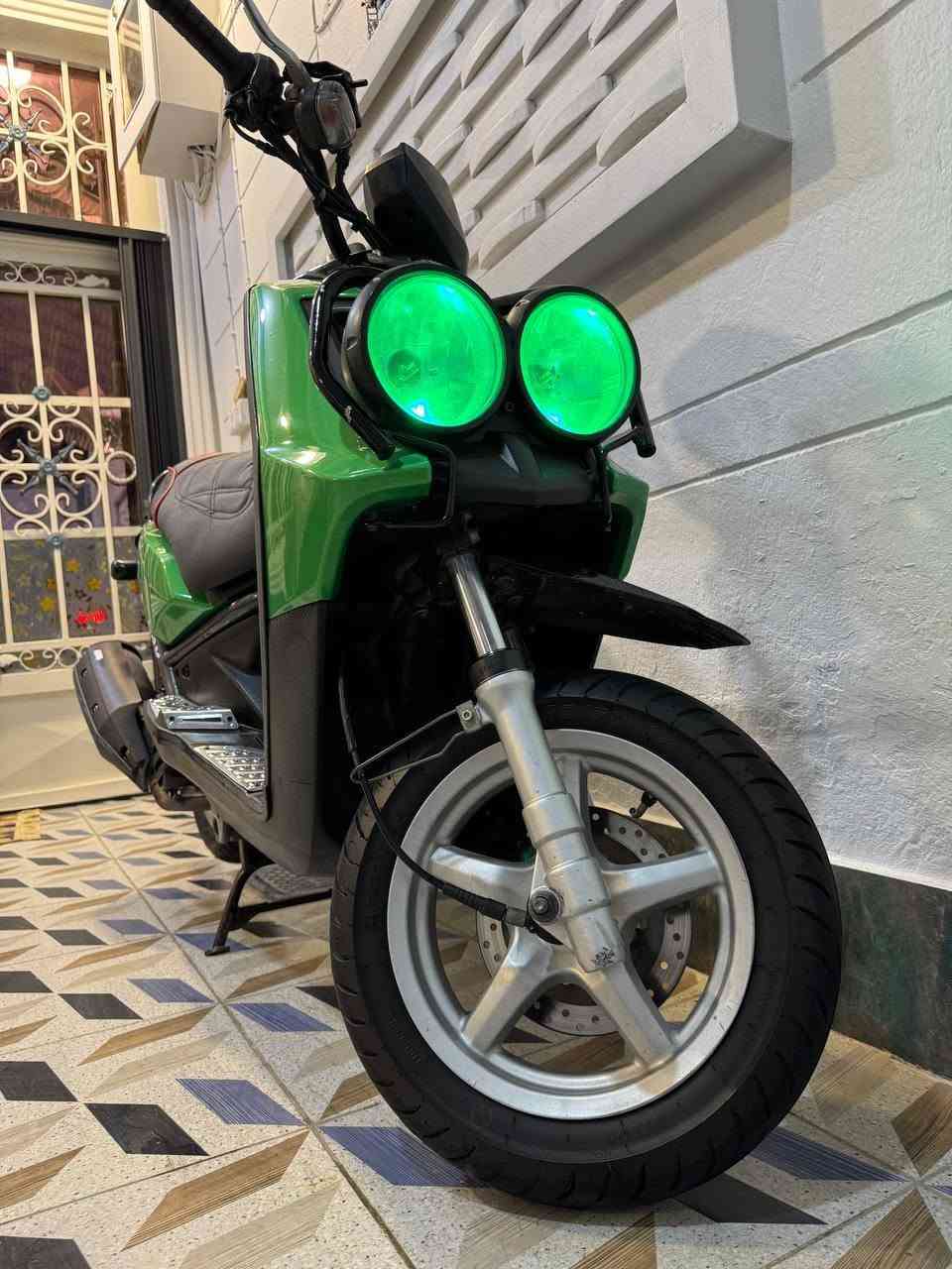 سكنس جبلي • مكفولة • كربلاء