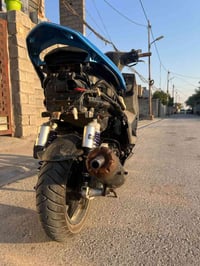 سكنس فحل • شغاله • معدل