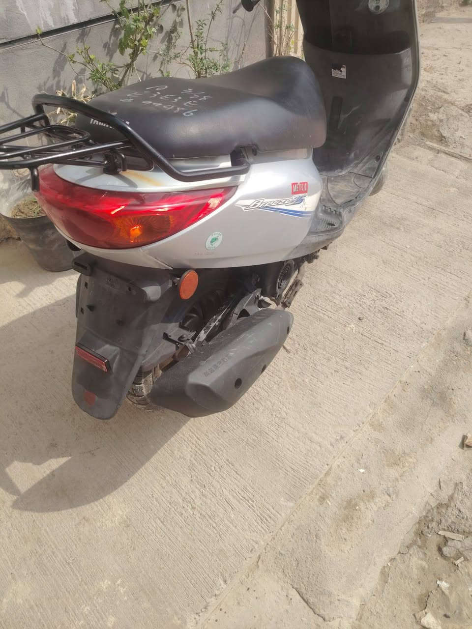 بريز • بغبغاء • ختم واحد