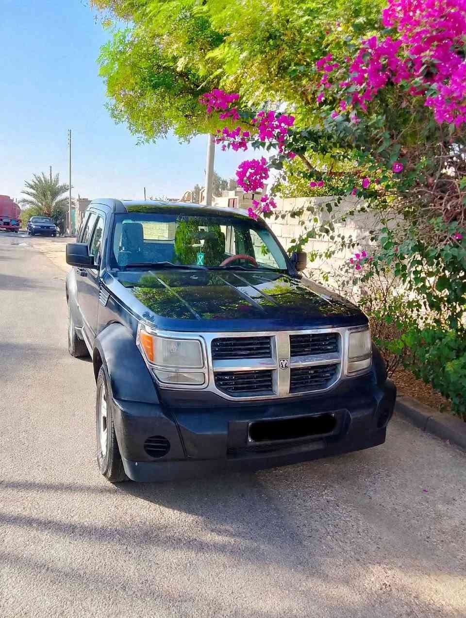 نترو ٢٠٠٨ • رقم ديالى • جراد بسيط