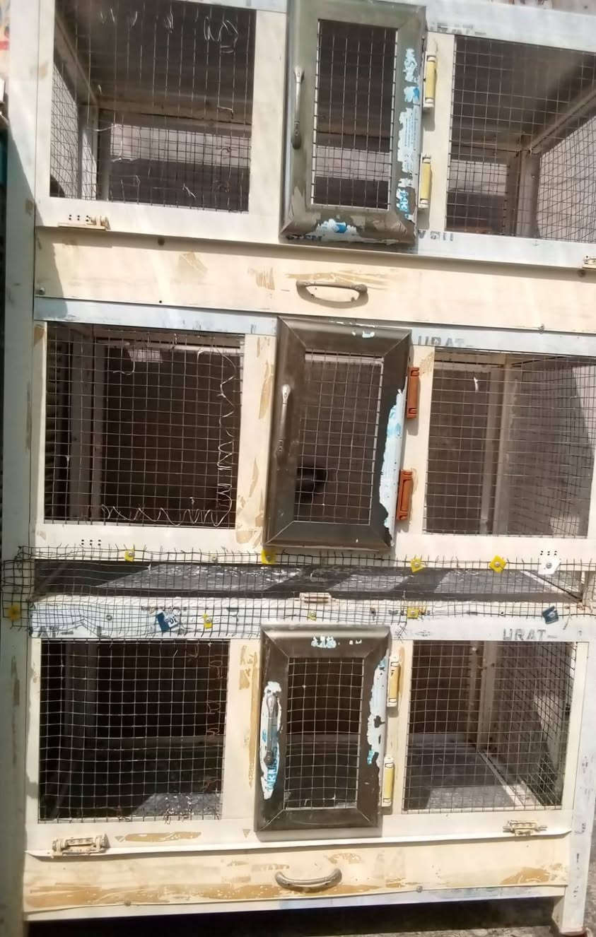 *********** قفص المنيوم قوي للبيع ثلاث طوابق للجميع انواع طيور وافراخ ارتفاع مترين عرض متر نص قفص شرط نظافة وقوي ضد ماء سعر اتصل .

