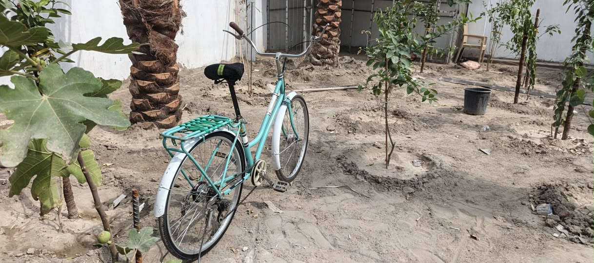 ياباني • حجم ٢٦ • نضيف