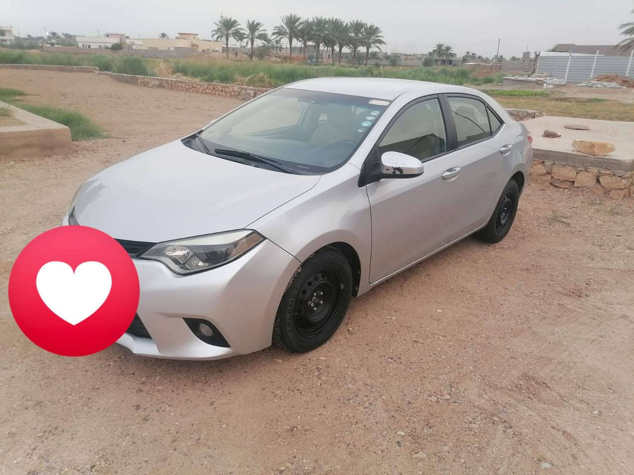كورلا • ٢٠١٦ • وارد امريكا