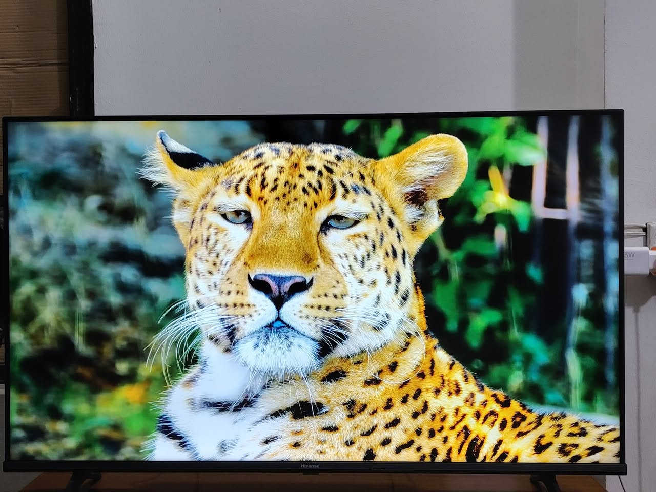 Hisense TV
الموديل: 43A61K
الحجم: 43 إنچ 4k 
Dolby Vision
✅ Dolby Audio
✅ HDMI
للبيع 
السعر 300 الف 
***********
