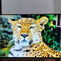 Hisense • 43 إنچ • 4K