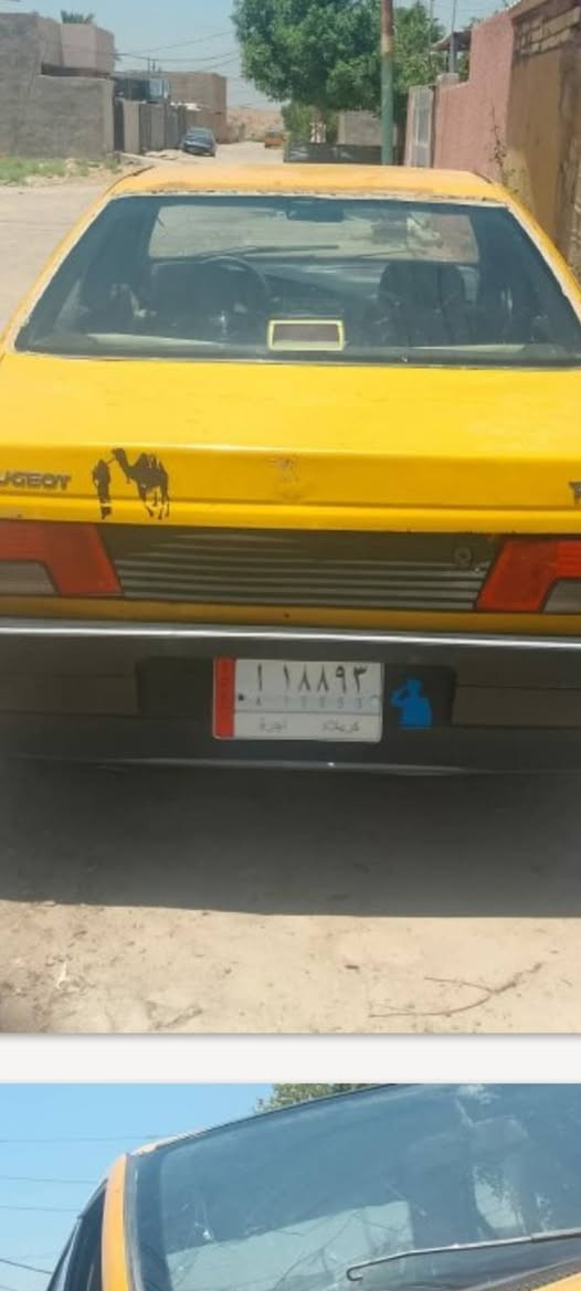 بيجو روا • ٢٠٠٩ • مجمع بسمايه