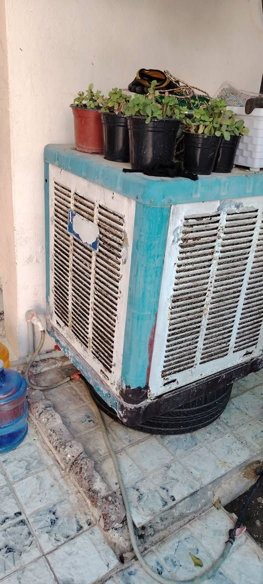 للبيع مبرده عدد 2 شغالات بشرط سعر الوحده 50 الف واذا اثنينهن شروه وحده 90 الف قفل
العنوان كركوك / حي الاسرى
***********
