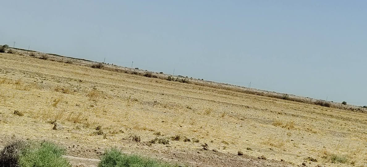 أرض زراعيه لبيع في محافظة واسط البسروكيه على مشروع الرحمه قرب قريه كنح المساحة 100دونم  الاتصال على هذه الرقم *********** __*********** صاحب الأرض
