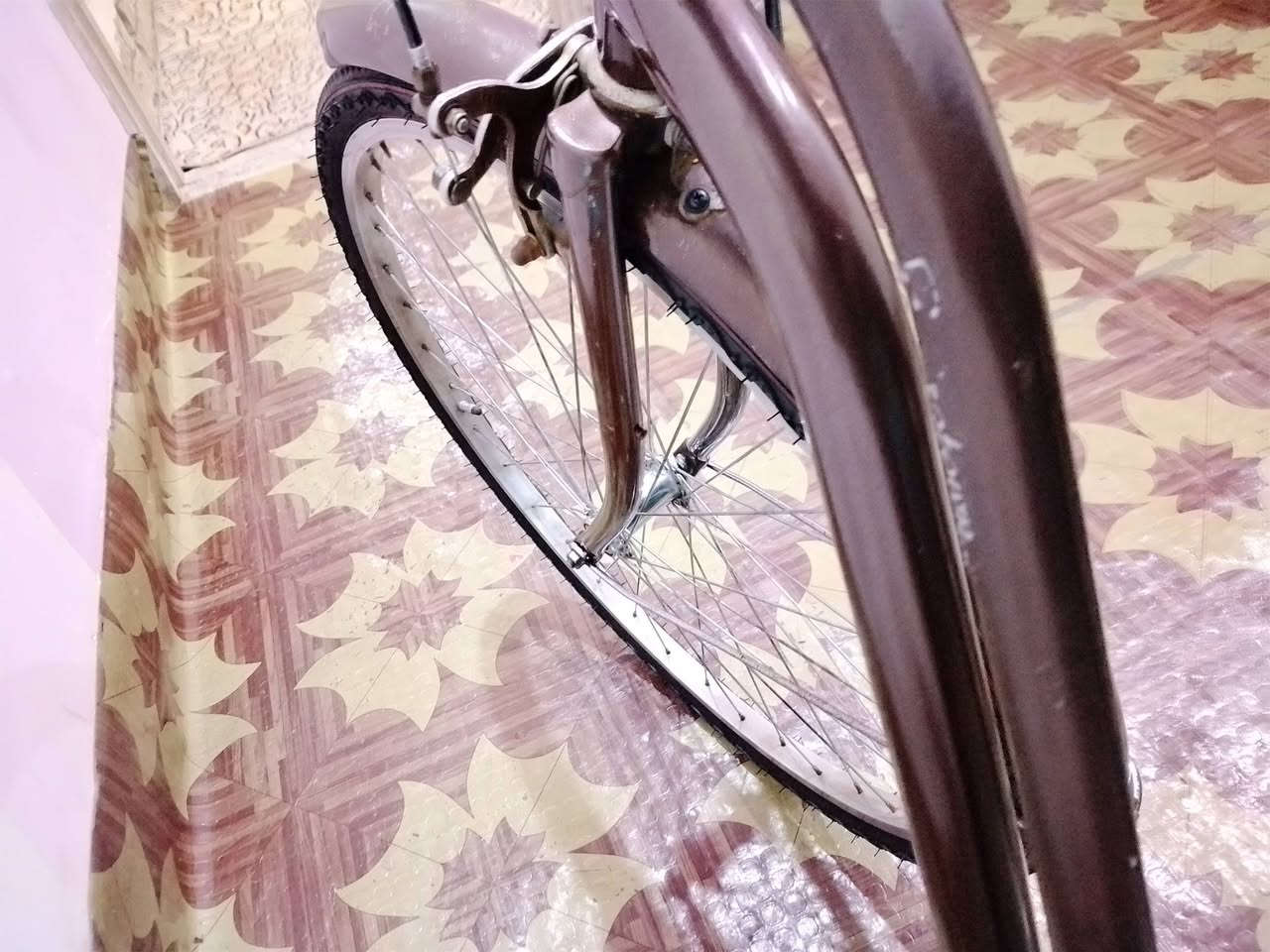 باسيكل نباتي • ٢٦ • تاير جوبلس