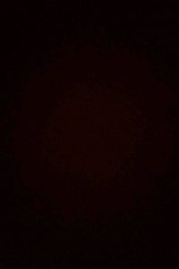 بصره • عامل • واتساب