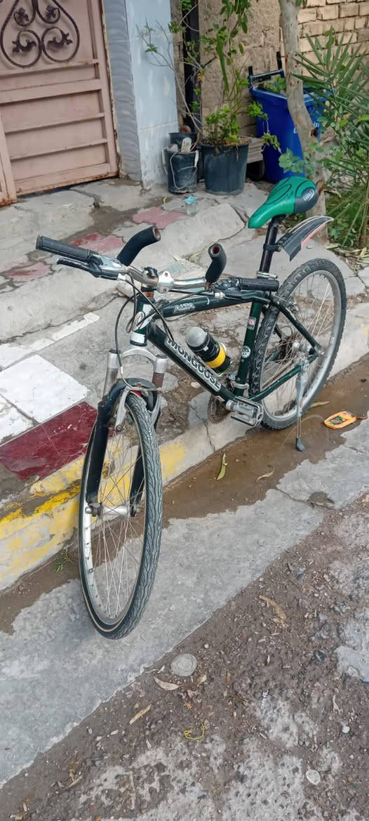 دراجة • واتساب فقط