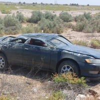 مارك نفخ • ١٩٩٥ • سنوية ٢٠٢٧