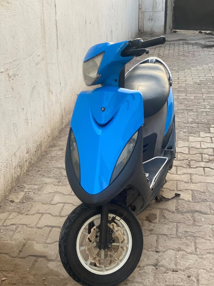 ماكس عدله • نضافتها • مكفوله