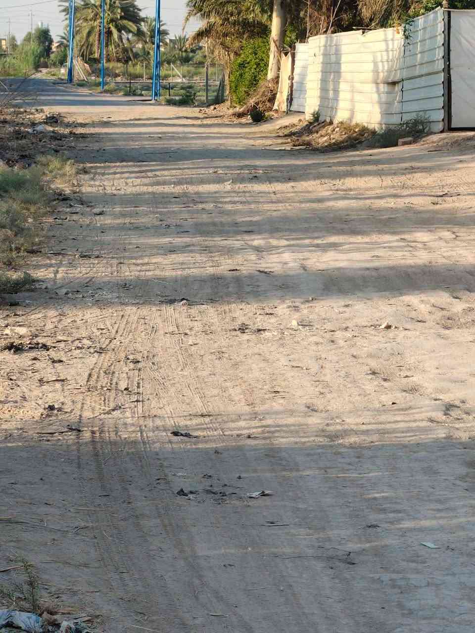 بابل الحمزة الغربي • ٢ دونم • طابو زراعي
