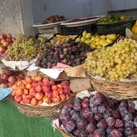 تين عراقي • قرية الانتصار • توصيل