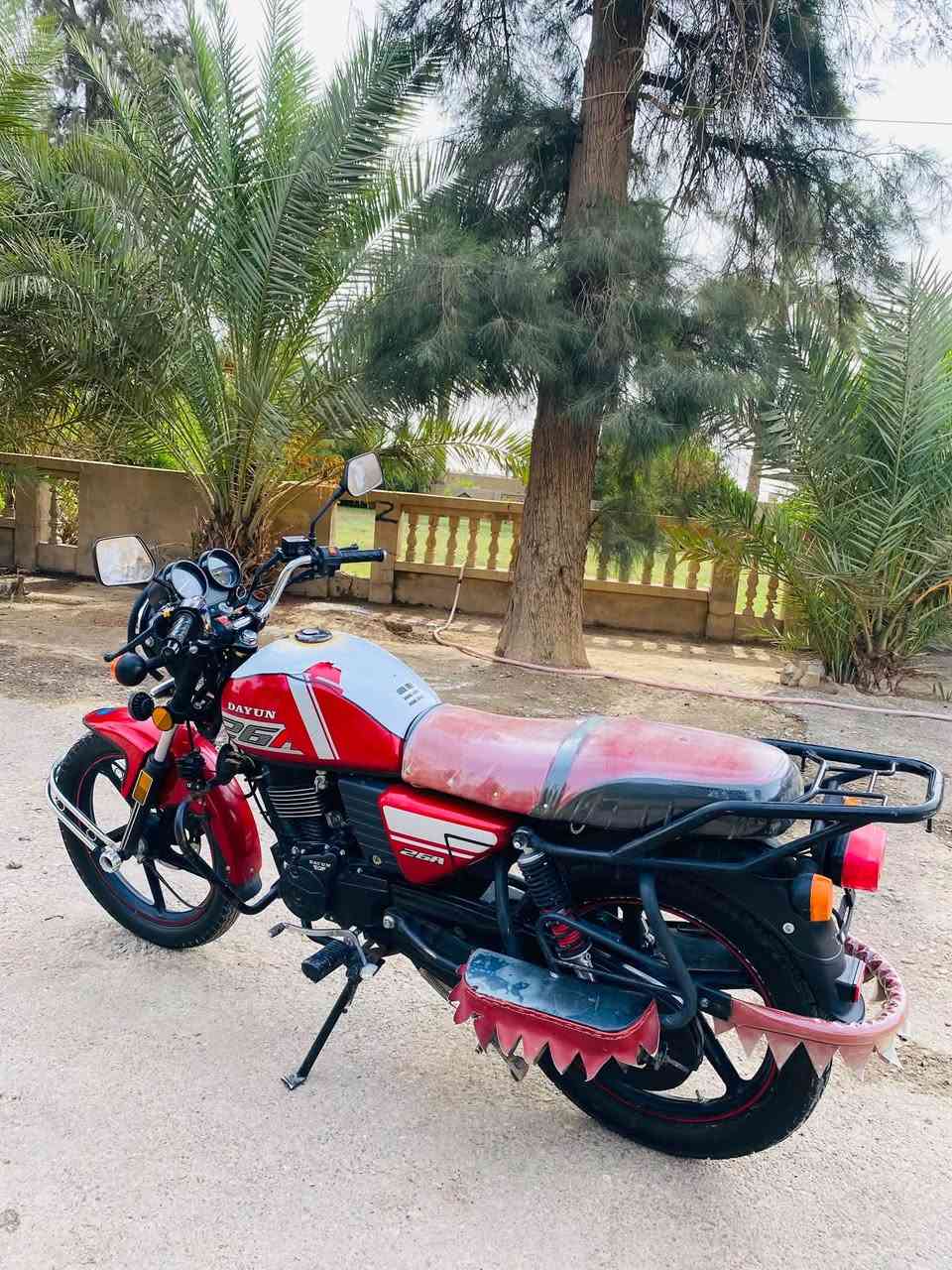 دايون • ٢٠٢٣ • مكفول