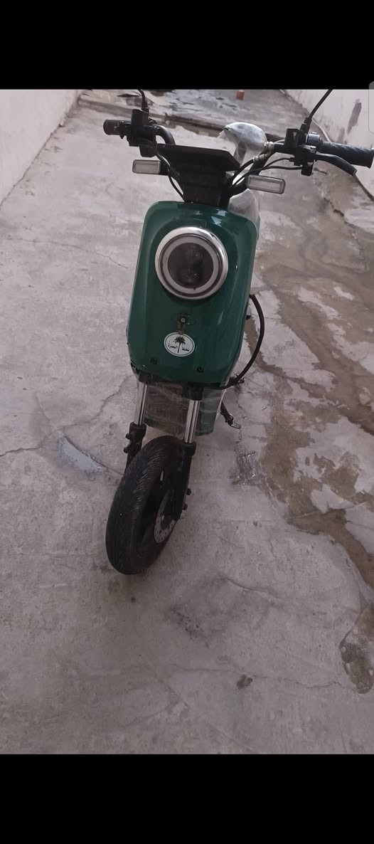 R9 • نخلة البصرة • بدون بطاريات