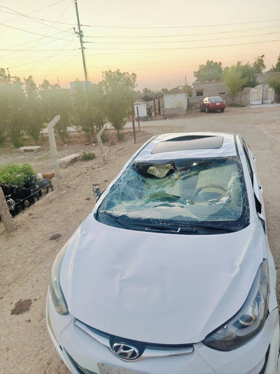 سلام عليكم النترا البيع 14 شكل 16 فول مواصفات محرك 200 شغاله وتمشي بصوره جبده تبريدشغال دواخل حلوه صاج مكلوبه كلبه واحد علا قماره  البيع السعر 70 وبيها مجال الطيبين عنوان ميسان علي الشرجي (***********)
