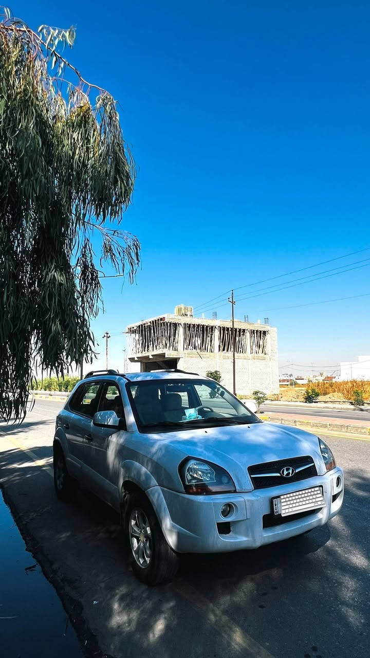 توسان • ٢٠١٠ • رقم اربيل