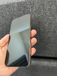 ايفون 16 بروماكس • ٢٥٦ • شاشه اولد ١٢٠