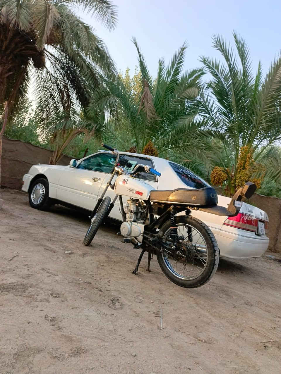 السلام عليكم دراجه للبيع كلك كلك كلك السعر 350 بيها مجال ديوانيه قضاء المهناويه هذا رقمي***********
