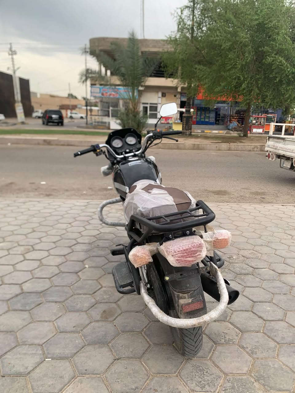 دايون ٢٥ • بلادي • وراق