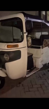 بغداد • ستوته