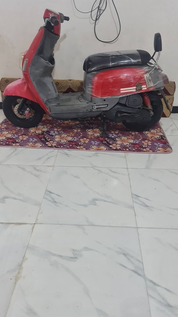 دراجه بوليسي مكفوله كفاله عامه مال رمبه سعره مليون او 300قفل لا داهرني وتكول اشكد مجاله ولا اشبيه مابيه كفاله دراجه بلكارتون امس طالعه من ارمبه بس اشراي يطب خاص عنوان البصره ابو الخصيب شارع الوسطي ***********
