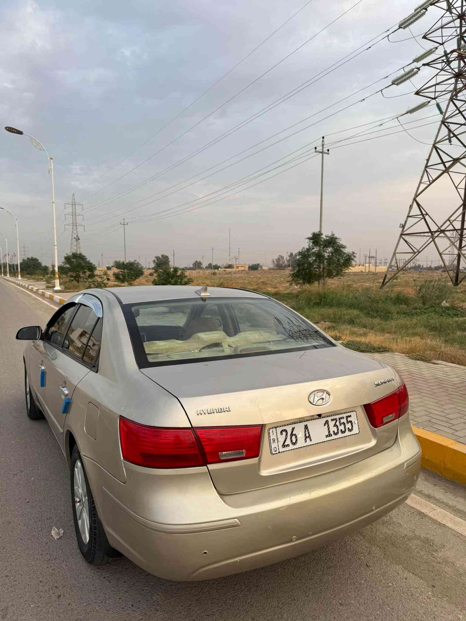 سوناتا • ٢٠١٠ • وارد امريكي