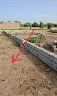 ٢٥٠م • قرب بستان الزيتون • حي الفاروق