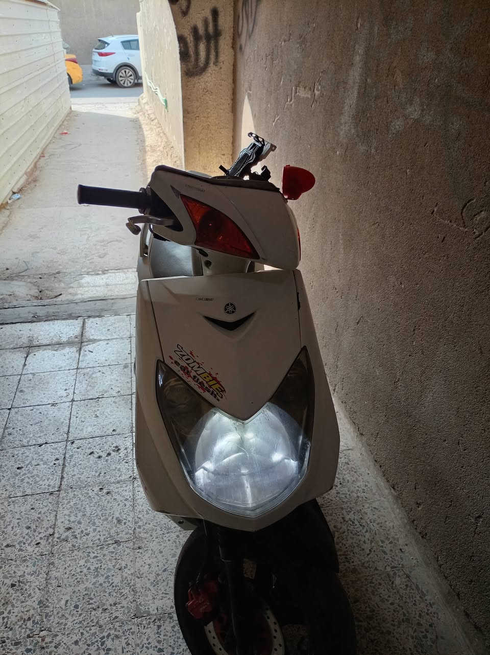 سكنس فحل • مجفت • ٢٥٠