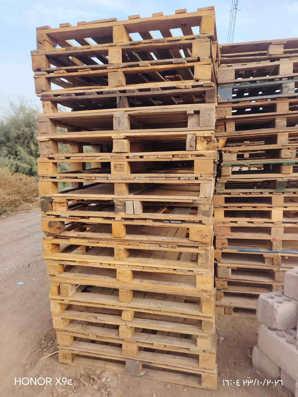 سكيبة • ١٠٠/١٢٠ • ١٣٠