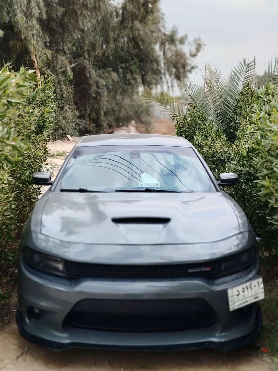 السلام عليكم
مستعجل ع بيع  حبايب سعرها  مناسب 💵 
 ((بدون مراوس  بي سياره)) 
حبايب جارجر سمنتي/اصل
الموديل 19/اصل
مكينه 5700/5700 /5700 /5700 ارتي 
ماشيه ((101))
حجر البيئه موجود بيها
صوت رعب
ويل حجم 20
موصفات الارتي معروفه
شاشه
كامره
شفتات
كشن كهربائي 
وبعد بيها موصفات
حادث امريكه مبين  فقط خشم البنيد
البنيد مصبوغ كله ومفتوح +3قطع كلير بدون فتح بدون تعمير بدون معجون بدون دكت جكوج
(((شاصي +لغد +تكم+ ايرباك))) مكفولات  كفاله عامه
ملاحضه حبايب رجائن  لحد يكسر بحلال العالم

مكان السياره بابل.. بابل.. بابل..بابل.. بابل..بابل 

***********
***********
تحياتي 🫡
