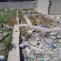 زعفرانية • ١٠٠م • ماء وكربا