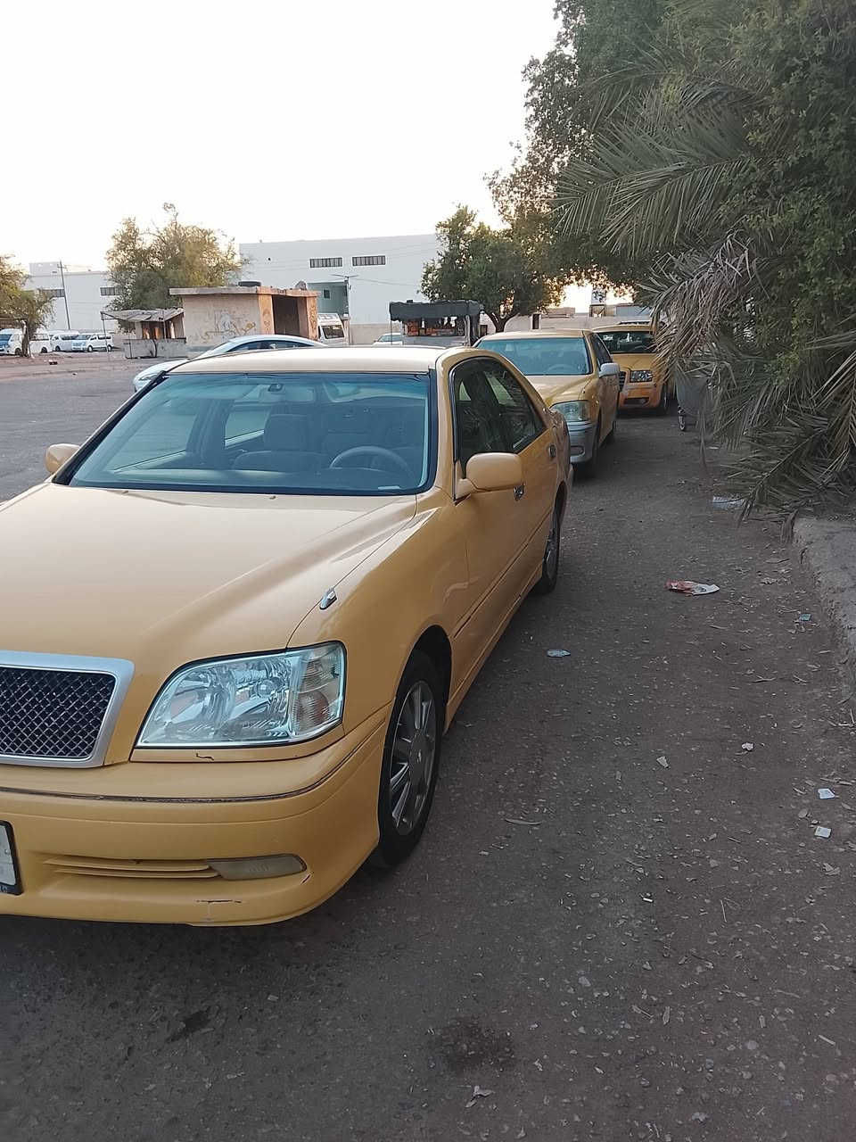 بسبب الوعود الكاذبه اعيد النشر ملكه كص قماره اصولي مداور فول فتحه رقم بصره الماني عليها غرامات ينزلن من سعرها 
السعر ٨٥ 
***********

