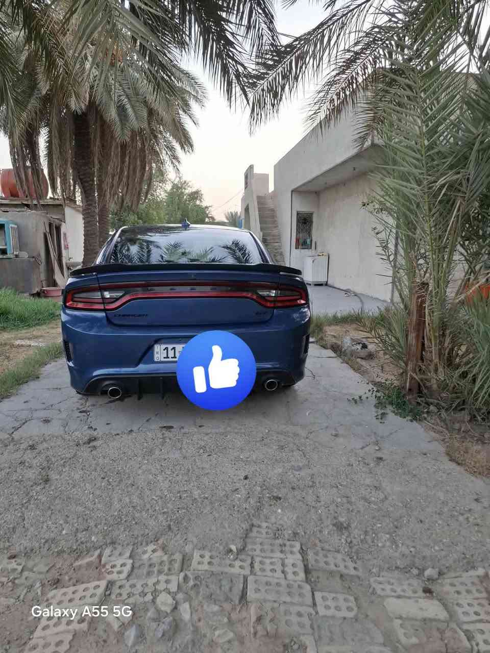 السلام عليكم جارجر 2021 كير مكينه حداديه تخم تاير تبريد سياره جيتي بلاص شفتات ستيرن كشنات حضن ماشيه 63 سياره فول عده الفتحه حادثه بامريكا جاملغات وبنيد وبل عراق بيبان شدوف سياره شتخدام شخصي خير من الله السعر 220 وبيه مجال العنوان بغداد رقم سنويه جديد تحويل ثاني يوم ***********
