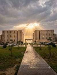 مجمع بسمايه • ١٠٠م • استبدال كفيل