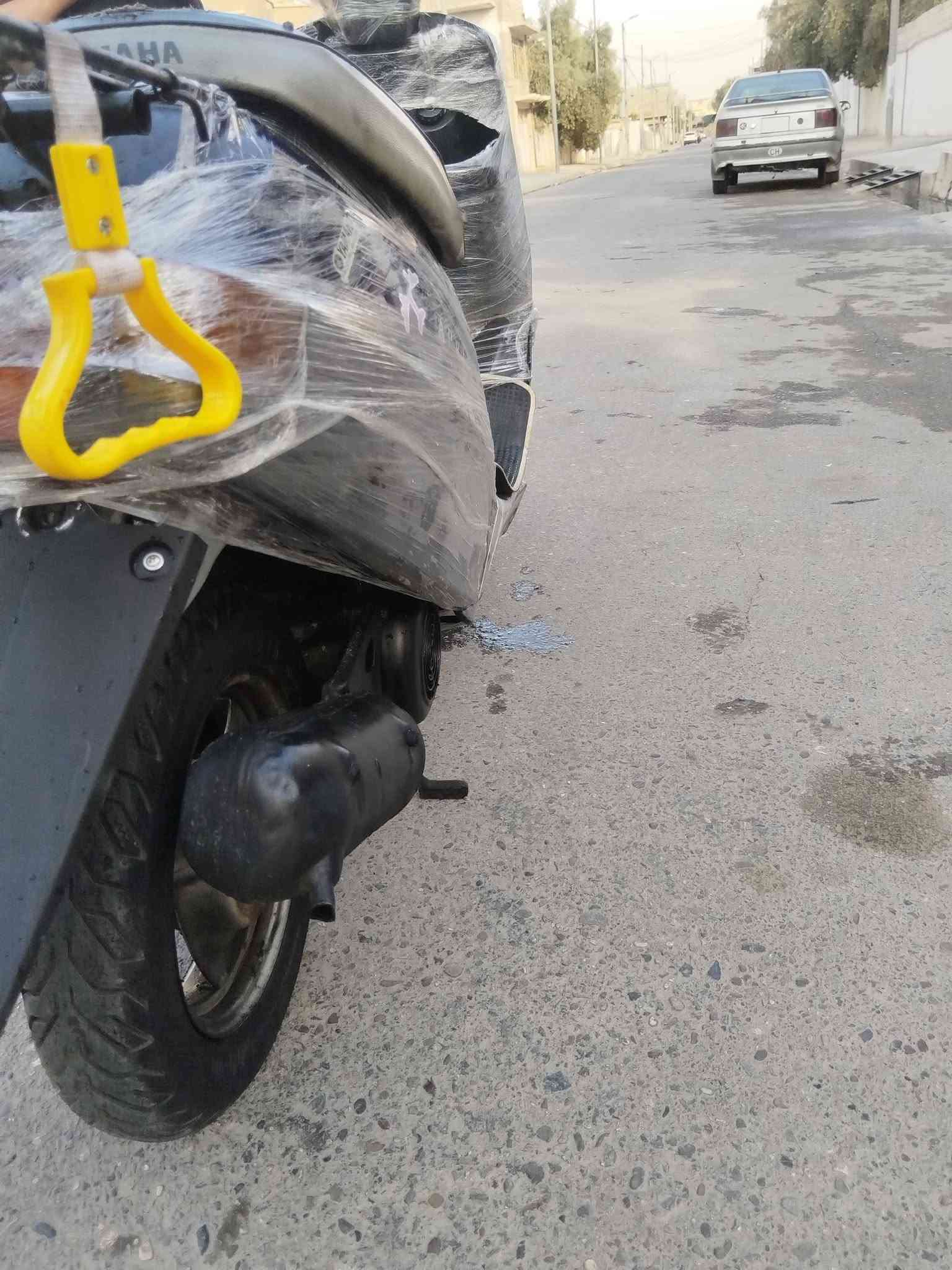 بوتين • معمر • دروعه اصليه