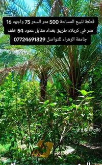 كربلاء طريق بغداد • ٥٠٠م • واجهة ١٦م