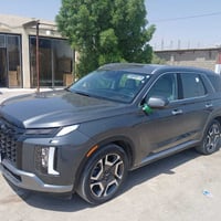 بليسايد • ٢٠٢٤ • شهداء