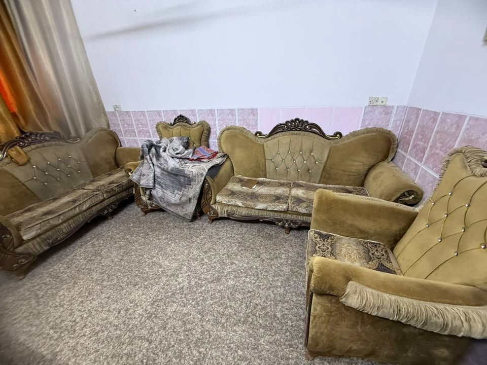 تخم نصيف جداً جداً سعر مناسب مكان بغداد ***********
